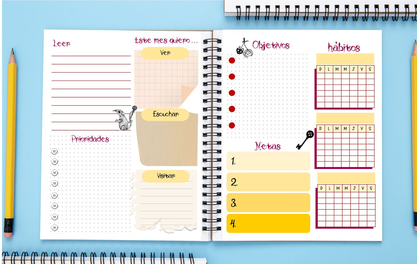 Agenda Coraline S.