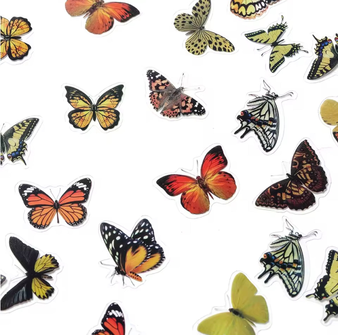 St. Stickers  "The World Of Butterflies"
