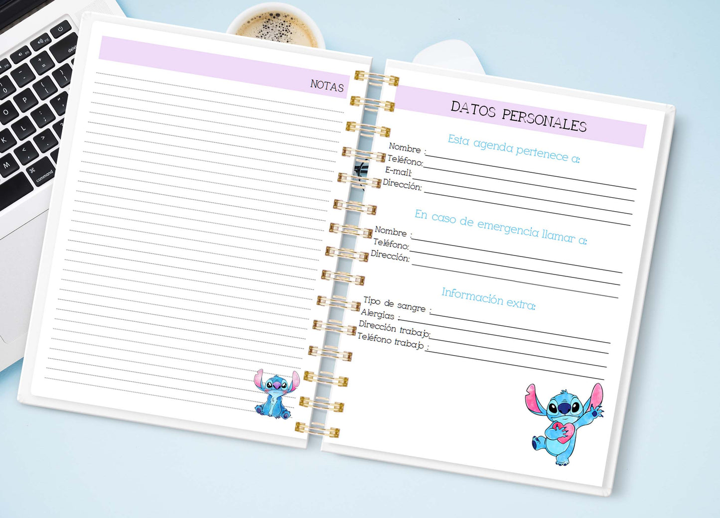 Doc. Agenda Docente - Stich 2