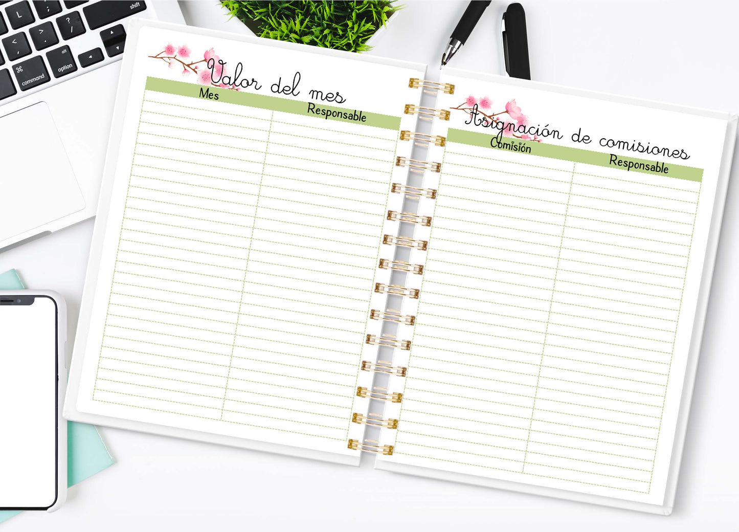 Doc. Agenda Docente - Mulan