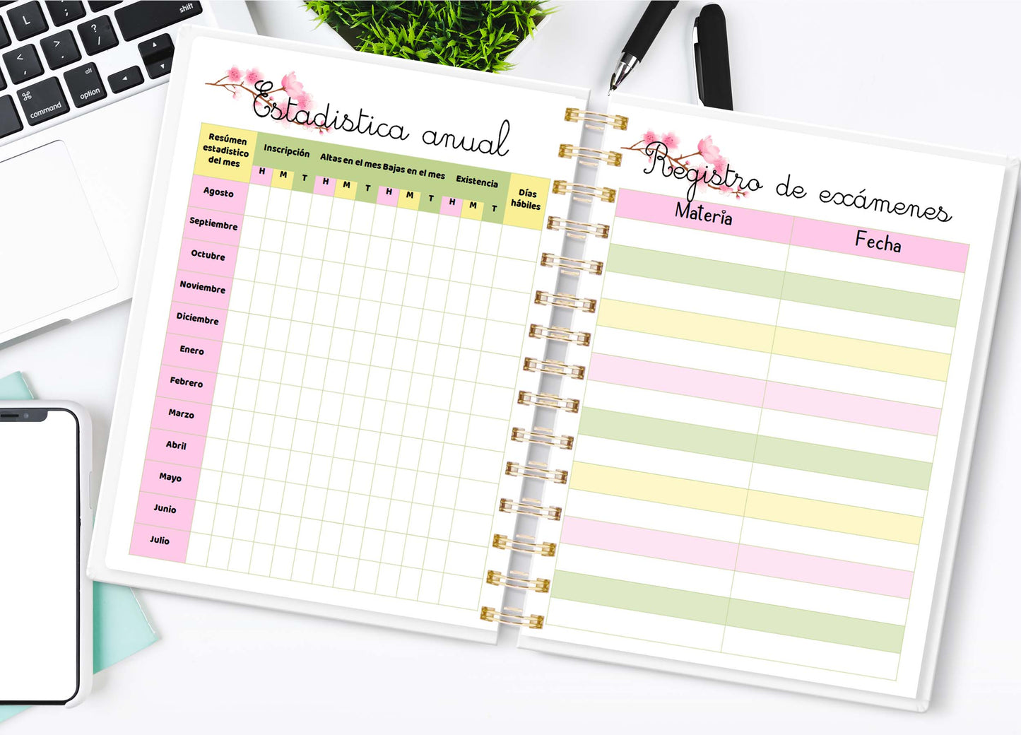 Doc. Agenda Docente - Mulan