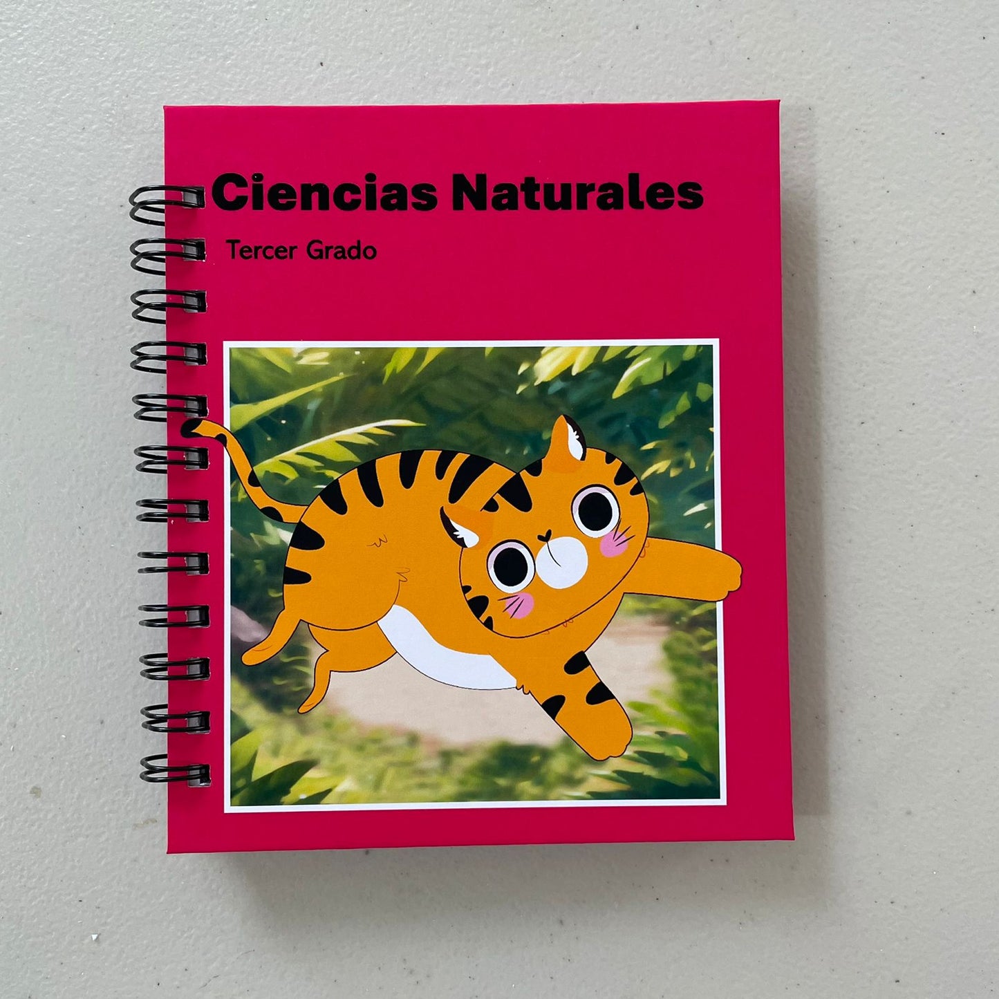 Doc. Cuadernos Primaria