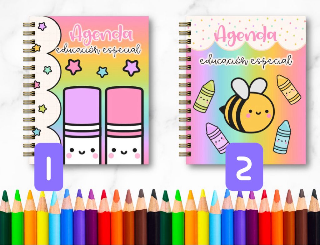 Doc. Agenda Docente USAER - Cuties