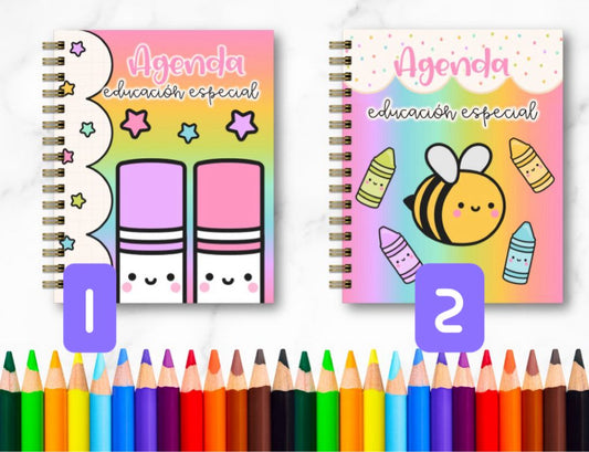 Doc. Agenda Docente USAER - Cuties
