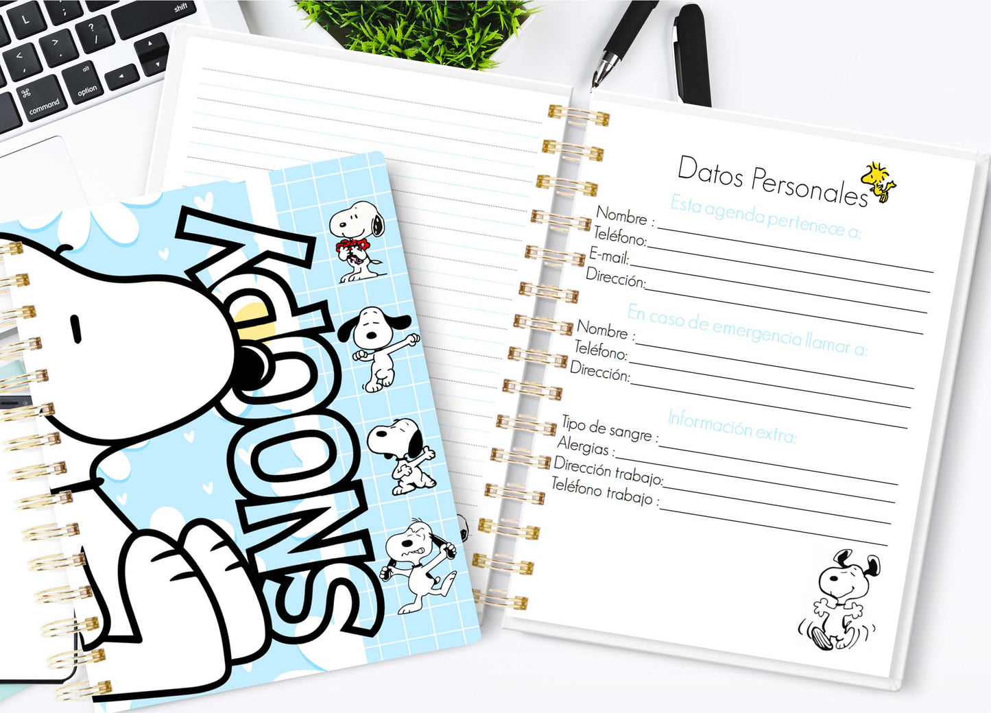 Doc. Agenda Directiva - Snoopy